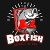 Gimnasio Boxfish en Ciudad De México 2 https://www.gimnasios.tamancondesa.mx/wp-content/uploads/2025/07/Boxfish.jpg