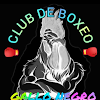 https://www.gimnasios.tamancondesa.mx/wp-content/uploads/2025/07/Club-De-Boxeo-Gallo-Negro.png