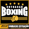 Gimnasio Coyoacan Boxing en Ciudad De México 2 https://www.gimnasios.tamancondesa.mx/wp-content/uploads/2025/07/Coyoacan-Boxing-1.jpg