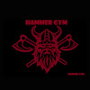Gimnasio Hammer Gym en Ciudad De México 2 https://www.gimnasios.tamancondesa.mx/wp-content/uploads/2025/07/Hammer-Gym-2.jpg