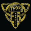 Gimnasio Thor Xtreme Gym en Santa Catarina Yecahuitzotl 2 https://www.gimnasios.tamancondesa.mx/wp-content/uploads/2025/07/Thor-Xtreme-Gym-2.png