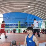 Bejarano Boxing Team Revisión Y Opiniones