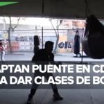 Box El Bajo Puente Revisión Y Opiniones