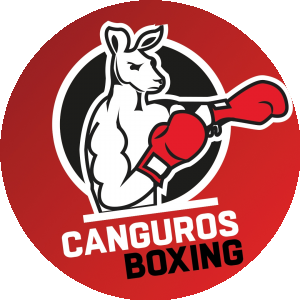 Club De Boxeo Arriola Boxing Revisión Y Opiniones 4 Canguros Boxing Coyoacán - Gimnasio De Boxeo Profesional