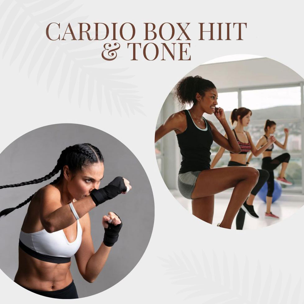 Mejores Escuelas De Box En Venustiano Carranza CDMX Cerca De Mi 190 Cardio Box And Fitness