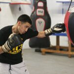 Clases De Box Ale Boxing Revisión Y Opiniones