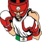 Club Box Mexico Revisión Y Opiniones