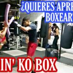 Club De Box Santa María Tepepan Revisión Y Opiniones