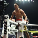 Cmb Gimnasio De Box Revisión Y Opiniones