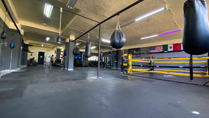 Mejores Escuelas De Box En Venustiano Carranza CDMX Cerca De Mi 159 El último Round Boxing Club