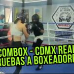 Escuela De Boxeo Nabuko’s Revisión Y Opiniones