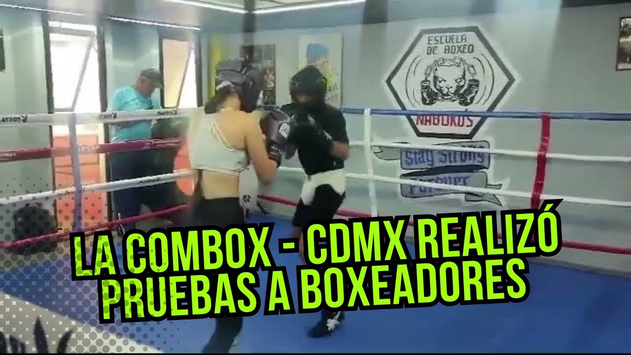 Fortaleza Boxig Díaz Gimnasio De Box Revisión Y Opiniones 19 Escuela De Boxeo Nabuko’s