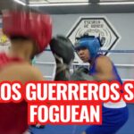 Escuela De Boxeo Nabuko’s Revisión Y Opiniones