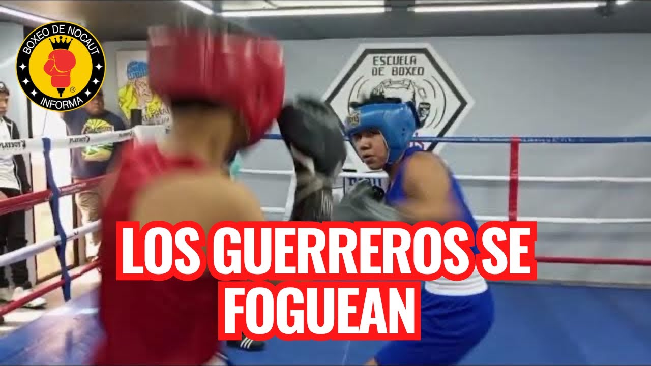 Mejores Escuelas De Box En Venustiano Carranza CDMX Cerca De Mi 152 Escuela De Boxeo Nabuko’s
