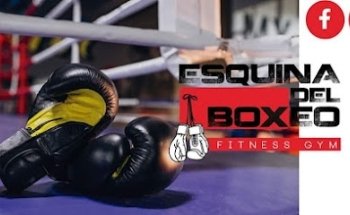 Mejores Escuelas De Box En Venustiano Carranza CDMX Cerca De Mi 609 Gimnasio Academia De Artes Marciales Y Box Rojo «tigres Blancos» en Ciudad De México