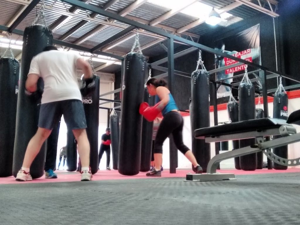 Mejores Escuelas De Box En Venustiano Carranza CDMX Cerca De Mi 438 Gimnasio Academia De Boxeo Internacional en Ciudad De México