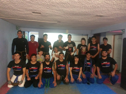 gimnasio academia kainos artes marciales mixtas mma en ciudad de mexico