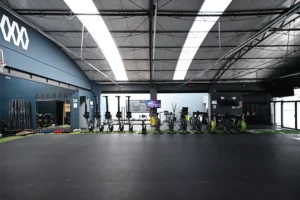 gimnasio adamant fitness wellness club en ciudad de mexico