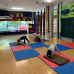 Gimnasio Aem Gimnasio Organico en Ciudad De México