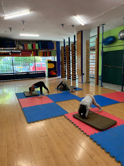 Mejores Escuelas De Box En Venustiano Carranza CDMX Cerca De Mi 1858 Gimnasio Aem Gimnasio Organico en Ciudad De México
