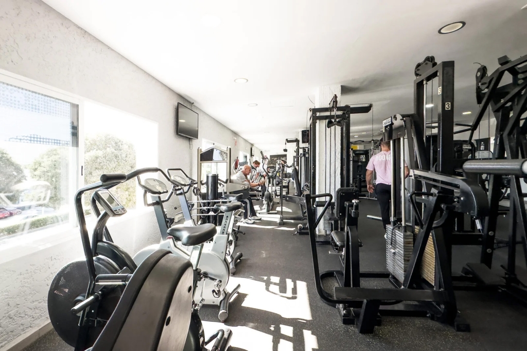 Mejores Escuelas De Box En Venustiano Carranza CDMX Cerca De Mi 1967 Gimnasio Altea Studio Fitness en Ciudad De México