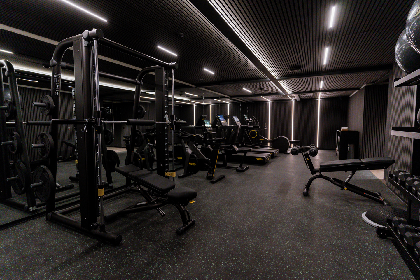 gimnasio alx gym en ciudad de mexico