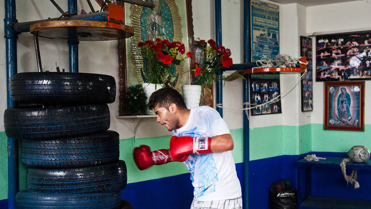 Mejores Escuelas De Box En Venustiano Carranza CDMX Cerca De Mi 504 Gimnasio Articulos De Boxeo en Ciudad De México
