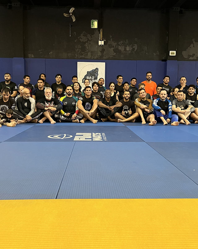 Mejores Escuelas De Box En Venustiano Carranza CDMX Cerca De Mi 490 Gimnasio Bad Bears Pedregal en Ciudad De México