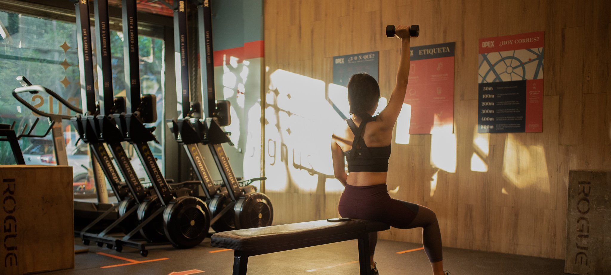 Mejores Escuelas De Box En Venustiano Carranza CDMX Cerca De Mi 1708 Gimnasio Bee Gym en Ciudad De México