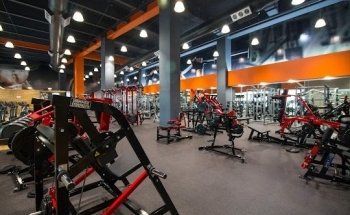 Mejores Escuelas De Box En Venustiano Carranza CDMX Cerca De Mi 2076 Gimnasio Bestiasmx en Ciudad De México