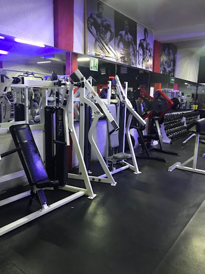 gimnasio bichos gym en ciudad de mexico