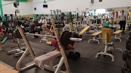 Mejores Escuelas De Box En Venustiano Carranza CDMX Cerca De Mi 941 Gimnasio Bio Gym Fitness Center O Muscle Factory Gym en Ciudad De México