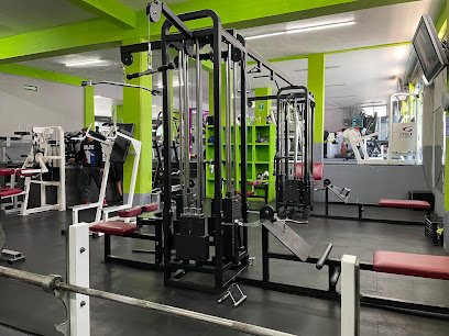 gimnasio body art gym en torreon