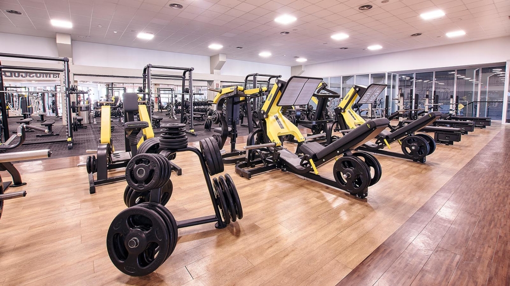 Mejores Escuelas De Box En Venustiano Carranza CDMX Cerca De Mi 930 Gimnasio Body Factory en Ciudad De México