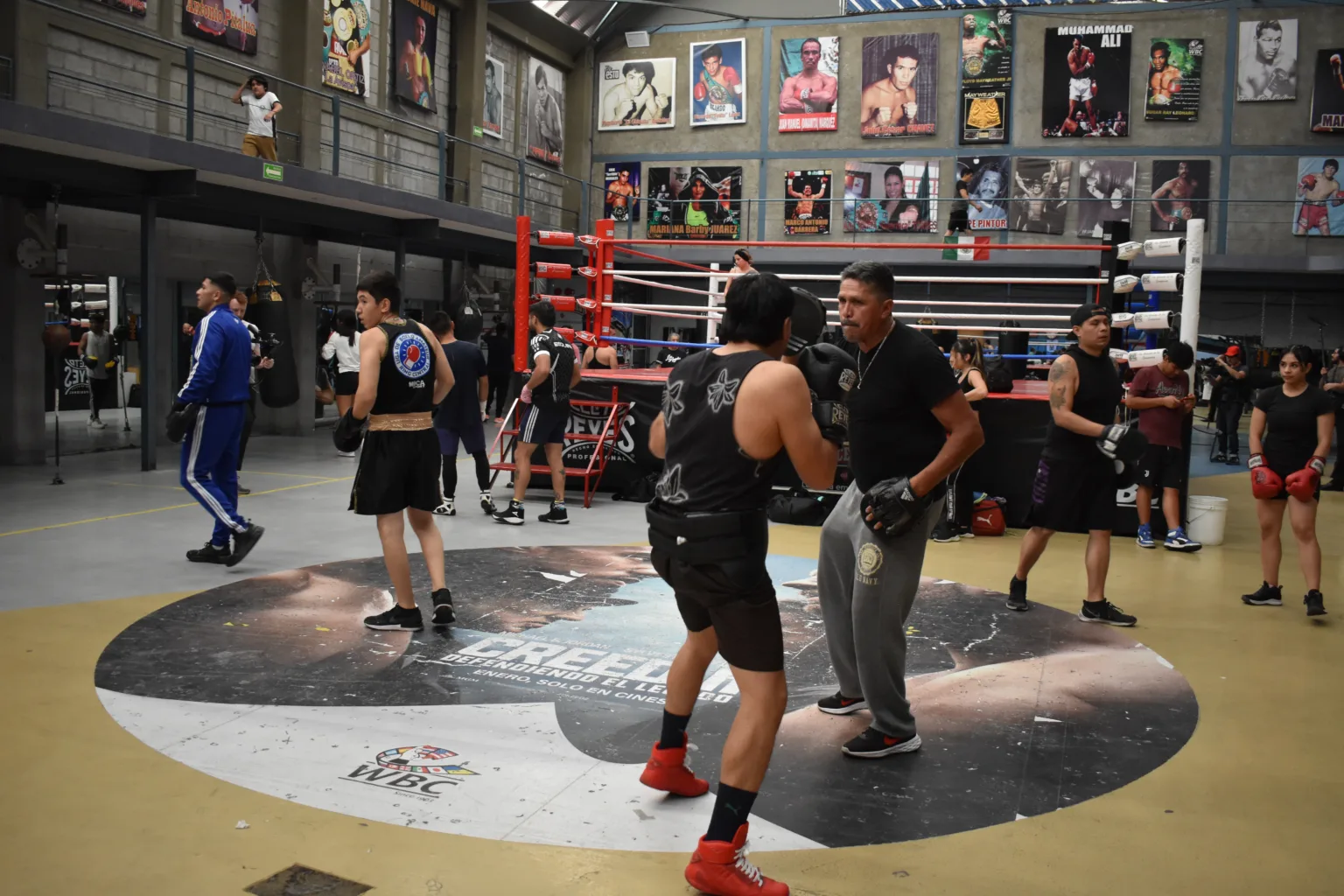 gimnasio box ring central en ciudad de mexico