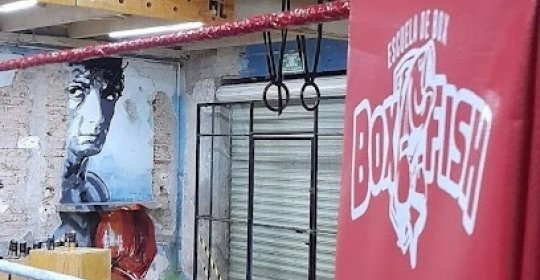 Mejores Escuelas De Box En Venustiano Carranza CDMX Cerca De Mi 472 Gimnasio Boxfish en Ciudad De México