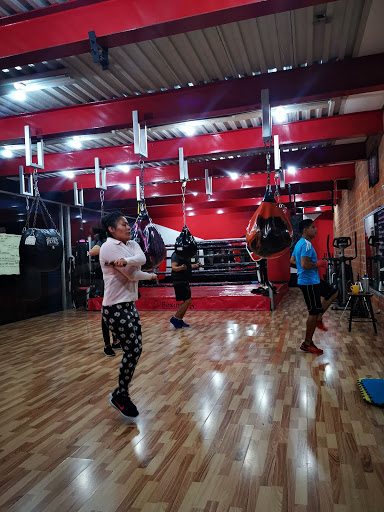 gimnasio boxingco interlomas en naucalpan de juarez
