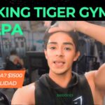 Gimnasio Bulking Tiger Gym en Ciudad De México