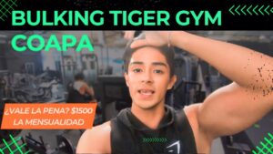 gimnasio bulking tiger gym en ciudad de mexico