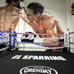 Gimnasio Cachorros Boxing Club en Ciudad De México