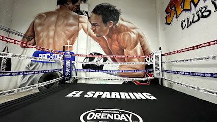 Mejores Escuelas De Box En Venustiano Carranza CDMX Cerca De Mi 503 Gimnasio Cachorros Boxing Club en Ciudad De México