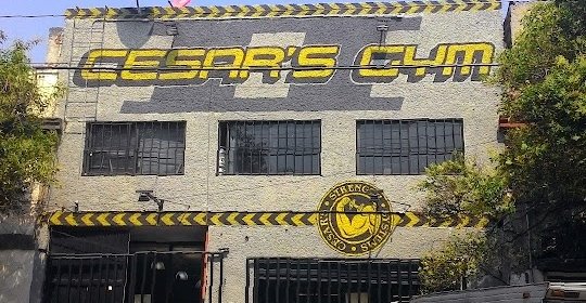 Mejores Escuelas De Box En Venustiano Carranza CDMX Cerca De Mi 1865 Gimnasio Cesar’s Gym Ii en Ciudad De México