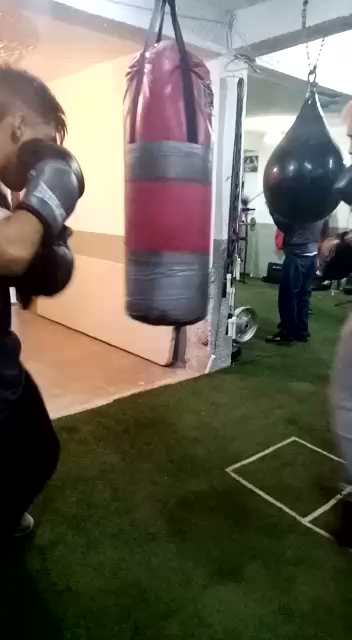 Mejores Escuelas De Box En Venustiano Carranza CDMX Cerca De Mi 495 Gimnasio Club De Boxeo Gallo Negro en Ciudad De México