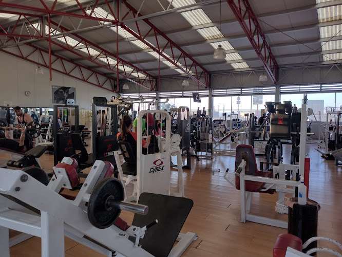 Mejores Escuelas De Box En Venustiano Carranza CDMX Cerca De Mi 949 Gimnasio Club Mg en Ciudad De México