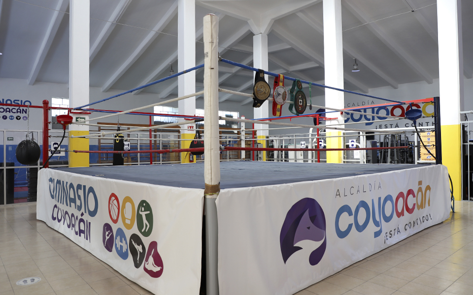 Mejores Escuelas De Box En Venustiano Carranza CDMX Cerca De Mi 1973 Gimnasio Coyoacan Boxing en Ciudad De México