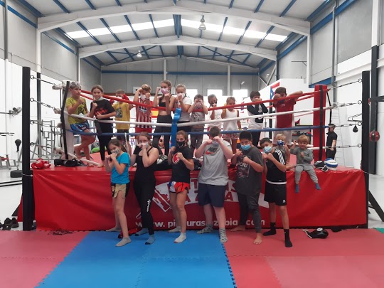 Mejores Escuelas De Box En Venustiano Carranza CDMX Cerca De Mi 187 Gimnasio De Box Los Gansos Salvajes