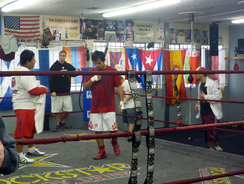 gimnasio de box revision y opiniones