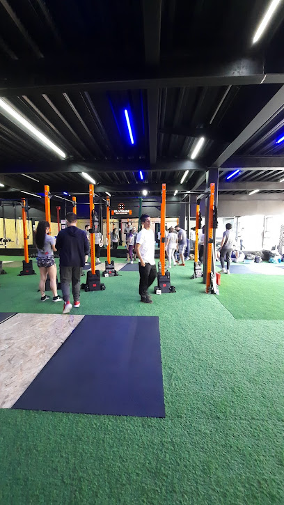 Mejores Escuelas De Box En Venustiano Carranza CDMX Cerca De Mi 1961 Gimnasio Elysium Cf en Ciudad De México