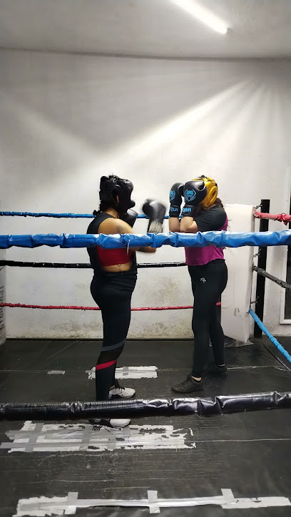 Mejores Escuelas De Box En Venustiano Carranza CDMX Cerca De Mi 593 Gimnasio Erg Boxing Club en Ciudad De México