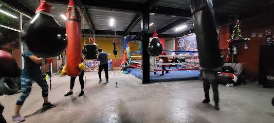 Mejores Escuelas De Box En Venustiano Carranza CDMX Cerca De Mi 732 Gimnasio Escuela De Box El Pantera en Ciudad De México